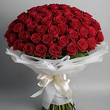 Букет 101 Красная роза Блэк Мэджик в Верхние Татышлы