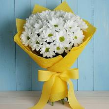 Букет цветов из:  Хризантемы в Верхние Татышлы