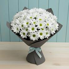 Букет цветов из:  Хризантемы в Верхние Татышлы