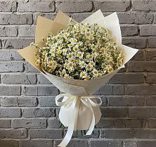 Букет цветов из:  Ромашки в Верхние Татышлы
