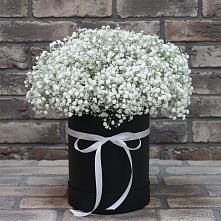 Цветочная композиция из Гипсофила в шляпной коробке в Верхние Татышлы