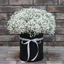 Цветочная композиция из Гипсофила в шляпной коробке в Верхние Татышлы