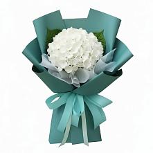 Букет цветов из:  Гортензия в Верхние Татышлы